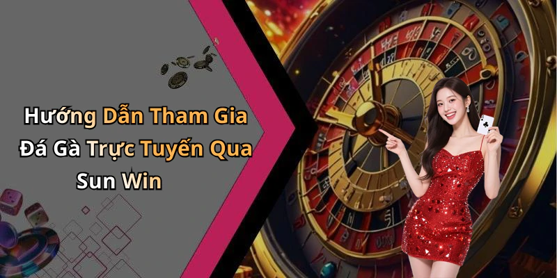 Hướng Dẫn Tham Gia Đá Gà Trực Tuyến Qua Sun Win